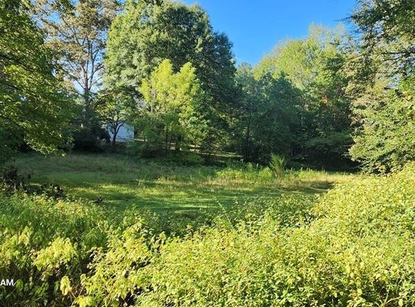 Blackberry Rd, CAMDEN, TN 38320