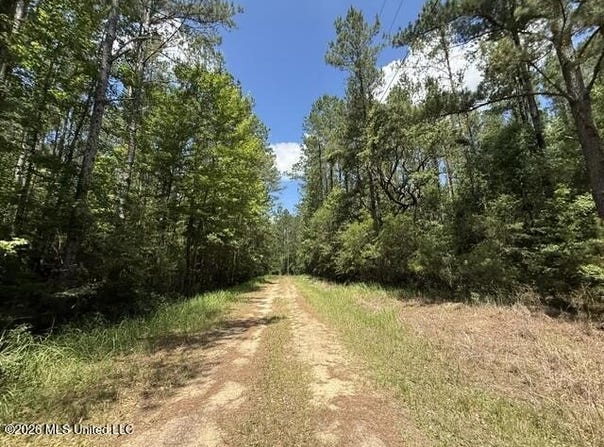 Elmer Hamilton Road, Moss Point, MS 39562