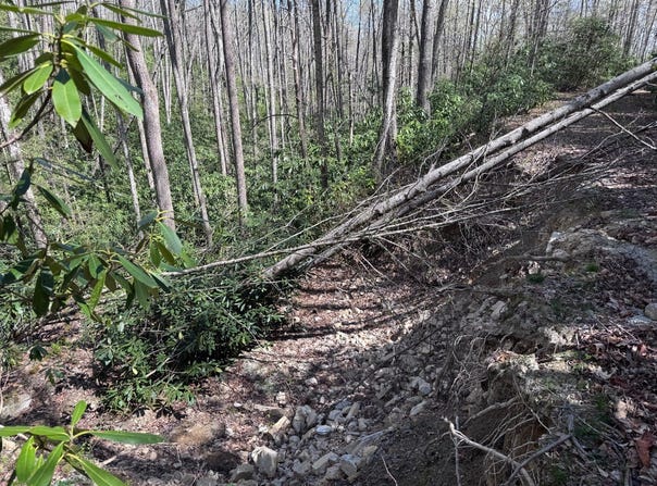 Red Clover Rd, Beech Mountain, NC 28622
