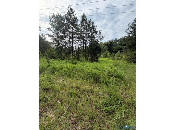 tbd lot 2 Rolfe Highway, Dendron, VA 23839
