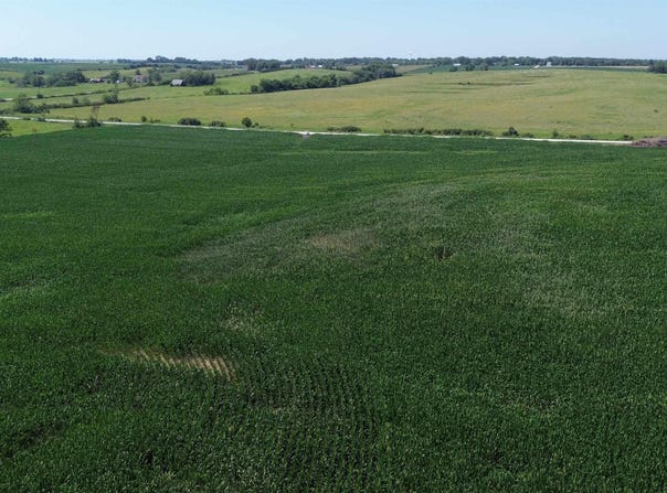 122 Acres Highway 21, Delta, IA 52550