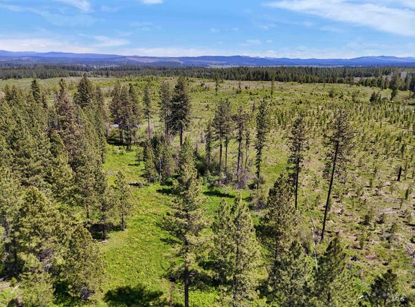 Timberline Heights, Parcel 2, Weippe, ID 83553
