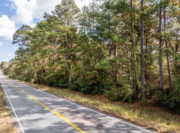 Hwy 11, Moselle, MS 39459