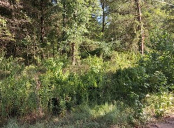 Dogwood Drive, Murchison, TX 75778