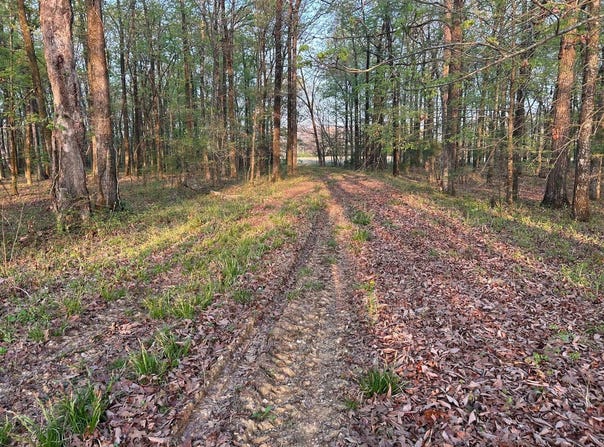 Hwy 45 Alt, Okolona, MS 38860