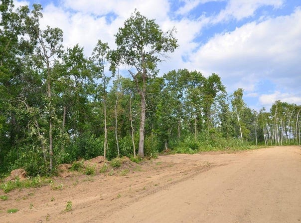 Firewood Trail, Park Rapids, MN 56470
