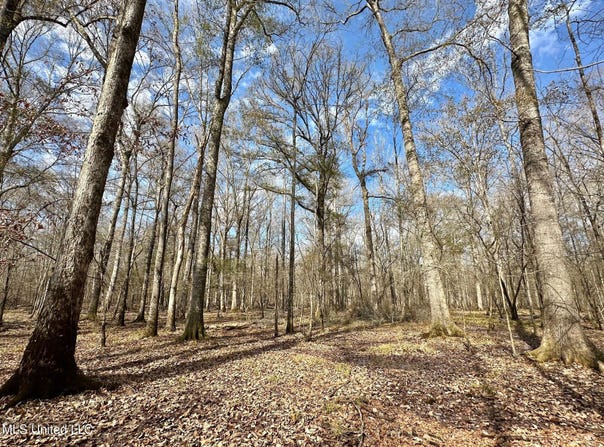 3 Evans Road, Carthage, MS 39051