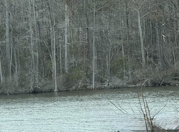 269 Creek Road, Bath, NC 27808
