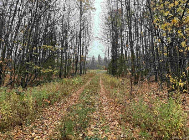 State 77 Highway, Iron Belt V-WI, WI 54534