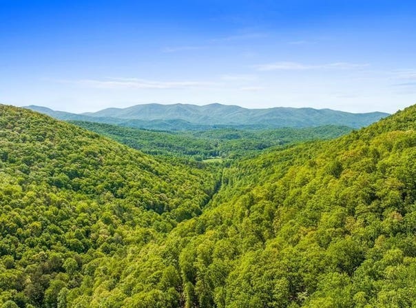 Cub Trail lot: 18, Cherry Log, GA 30522