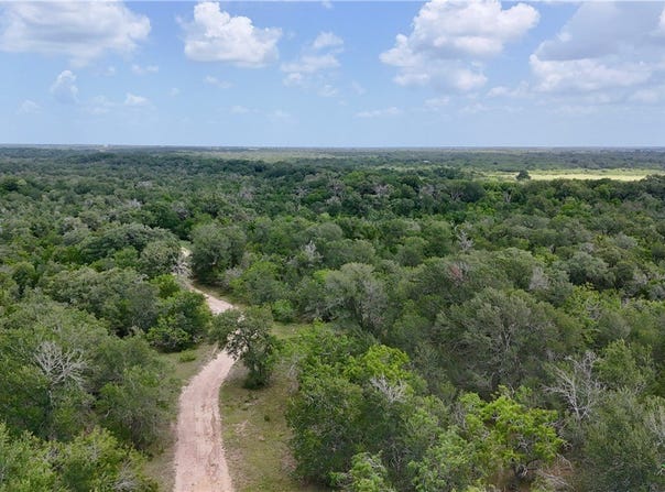 Cr 420, Waelder, TX 78959
