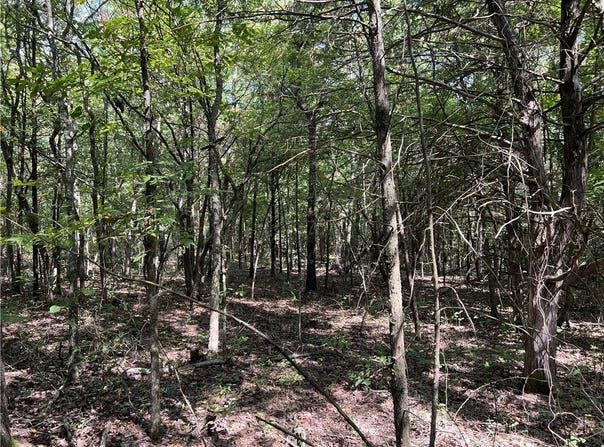 Fairview Drive lot: 0, Harrison, AR 72601