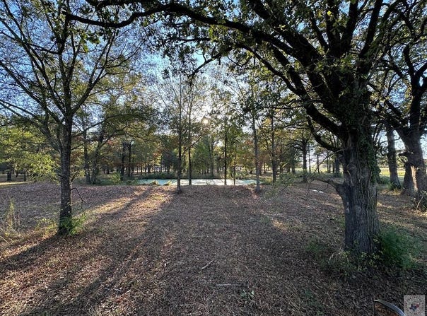 446 CR 4001, New Boston, TX 75570