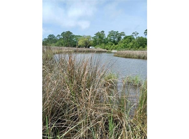 Johnson Road, Coden, AL 36523