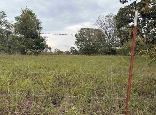 2426 Cataberry Run Rd, Ozark, AR 72949-0000