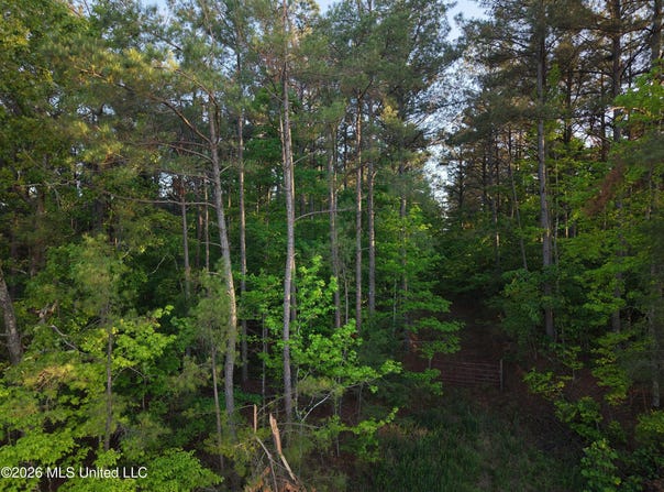 Stewart Weir Road, Stewart, MS 39767