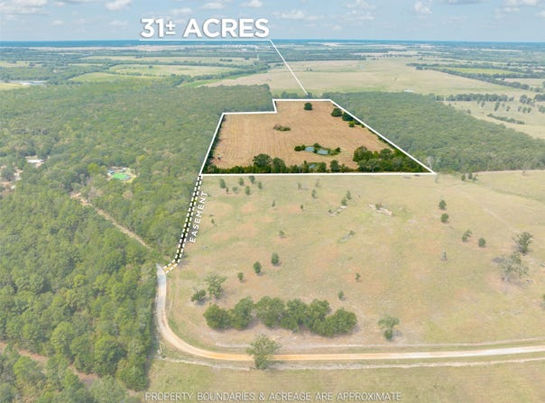 County Road 1305, Bogata, TX 75417