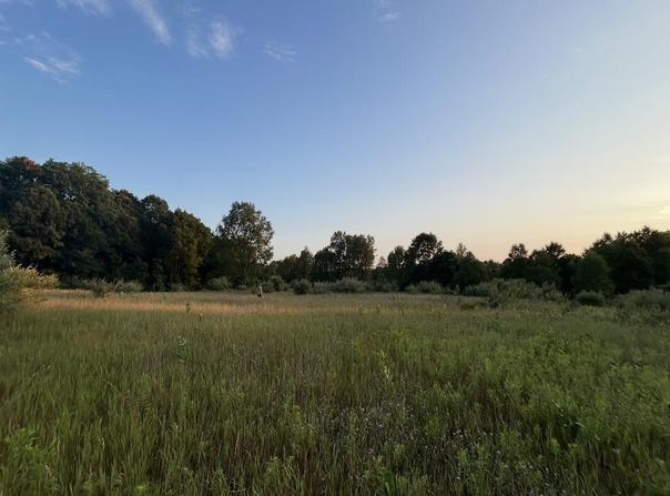 V/L E Pierce Road, Shelby, MI 49455
