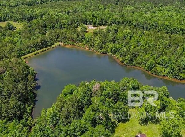 Loree Road, Evergreen, AL 36401