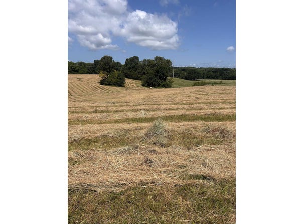 186 CR 346, Piggott, AR 72454