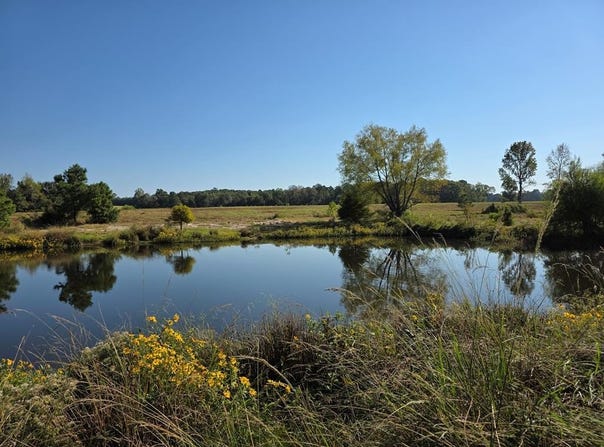 5762 Hwy 63W, Jasper, TX 75951