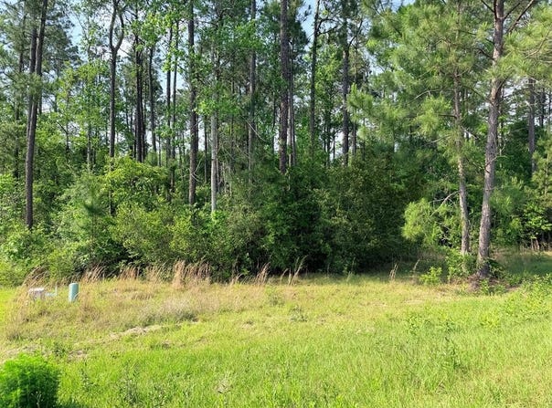 NHN Moss Circle, Carriere, MS 39426