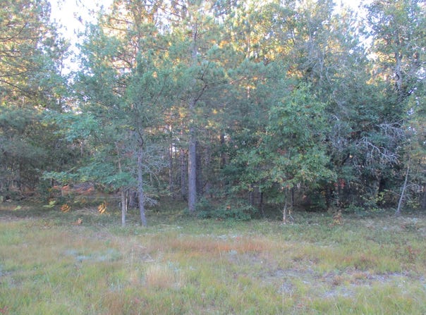 1540 S Stephan Bridge Road, Grayling, MI 49738