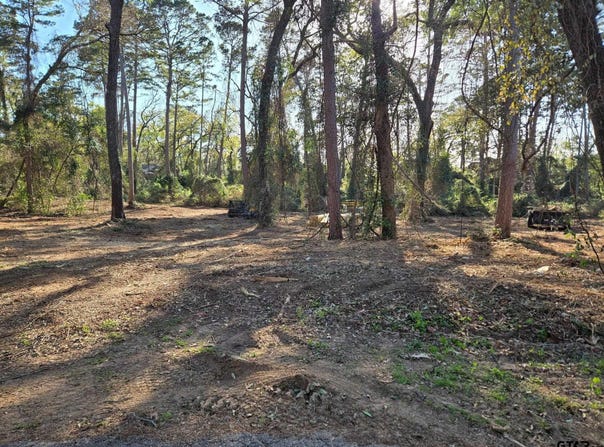 Hickory Lane lot: 6, Bullard, TX 75757