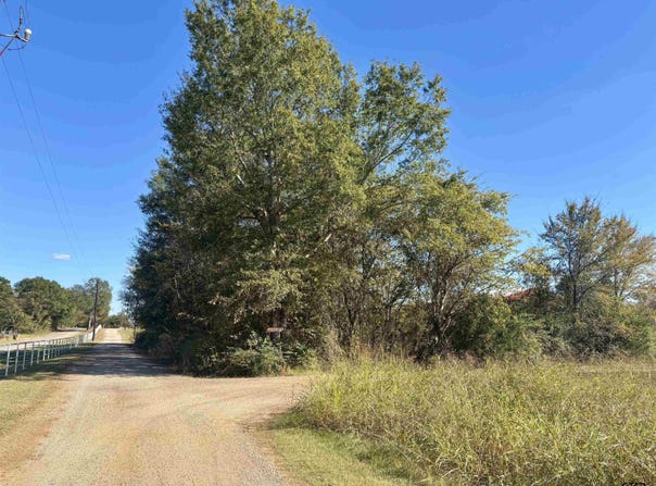 Kitty Hawk Dr. lot: 166, Frankston, TX 75763