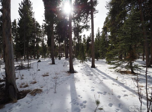 Long Trail Rd, Black Hawk, CO 80422