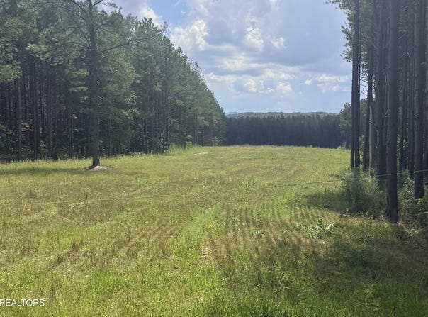 145 Black Bear Lane, Sunbright, TN 37872