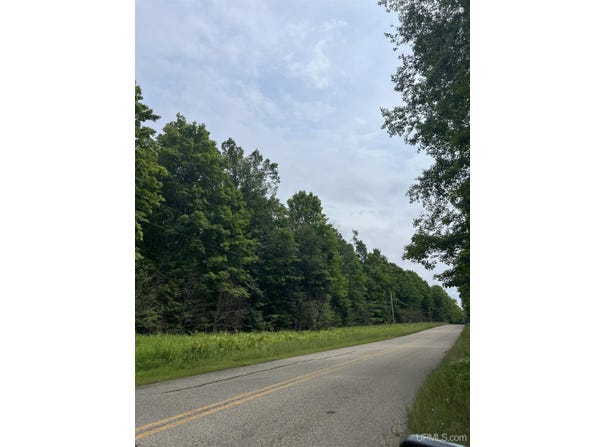 Camp Five Road, Crystal Falls, MI 49920