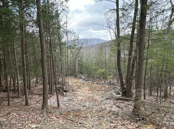 00WP Cotton Hill Rd, Middleburgh, NY 12122