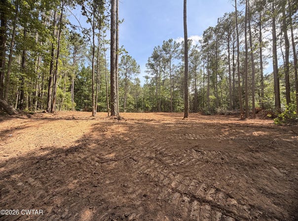 Old Lula Road, Reagan, TN 38368