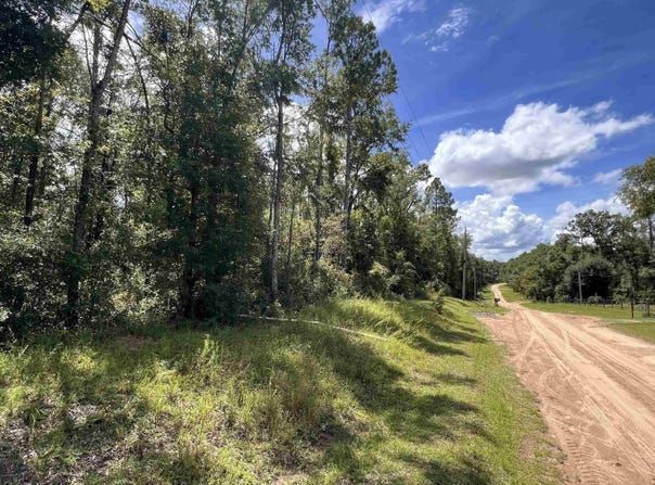 NE Nixon Way, Madison, FL 32340