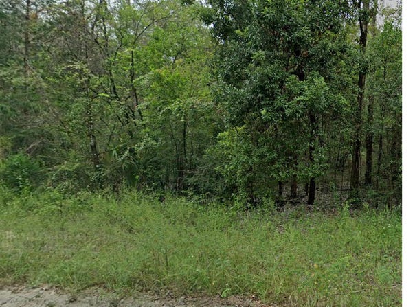 NE 160th Avenue, Williston, FL 32696