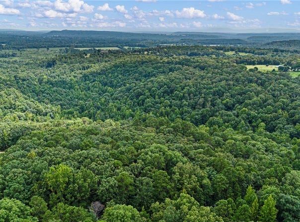 Whitetail Trail lot: 37, Dover, AR 72837