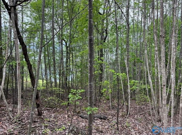 3.1+/- Brushy Creek Pointe, Arley, AL 35541