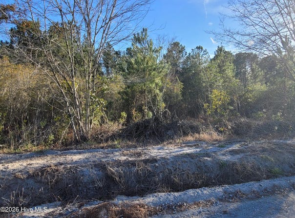 Auburn Drive lot: 2, Loris, SC 29569
