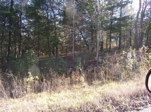 Woodcreek Drive, Murchison, TX 75778