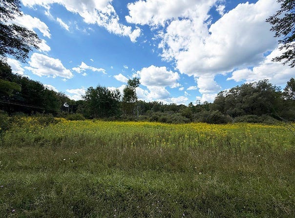 L 9-11 Armstrong Rd & Co Hwy 28, Cooperstown, NY 13326