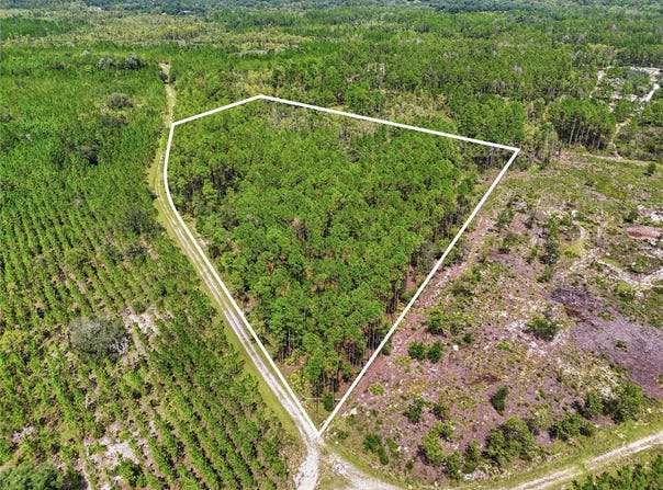 SE 51 Way, TRENTON, FL 32693