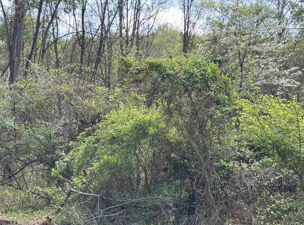 Rush Road, Carmichaels, PA 15320