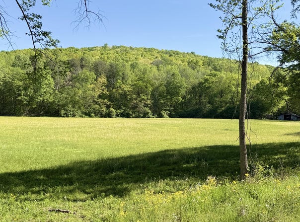 1550 Griffith Highway, Jasper, TN 37347