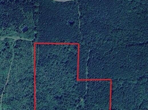 Carter Road, Macon, MS 39341