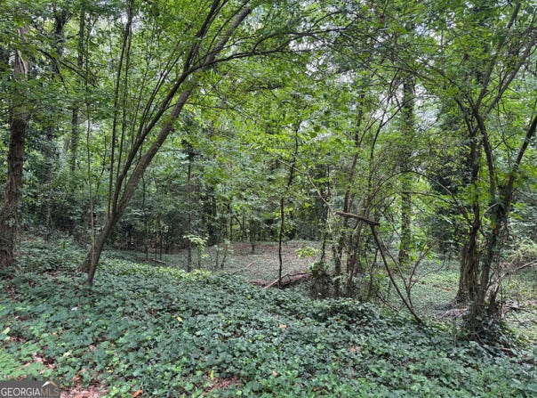 Turnbull Drive, Rome, GA 30161