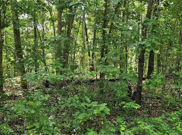 County Road 4050, Salem, MO 65560