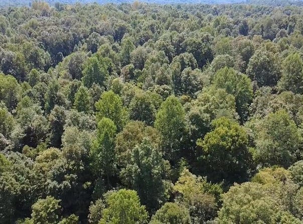 Fuller Harding Road, Campbellsville, KY 42718