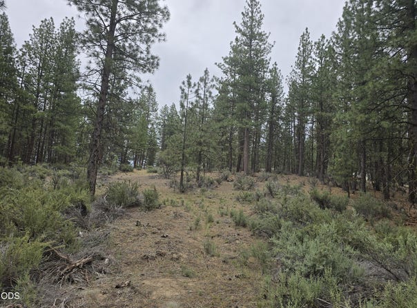 Elde Street, Chiloquin, OR 97624