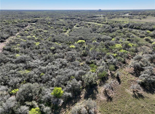 US Highway 183 lot: 5, Refugio, TX 78377
